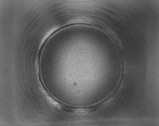 X0000078010796200611031429