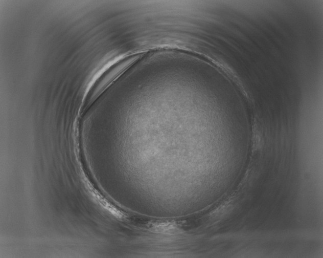 X0000078010798200611031429