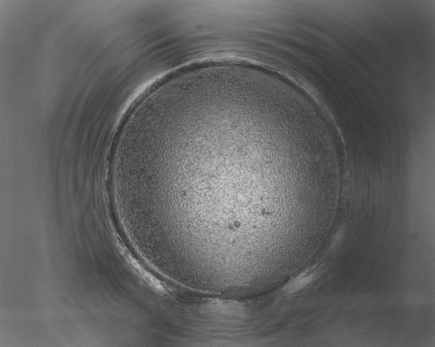 X0000078010799200611031429