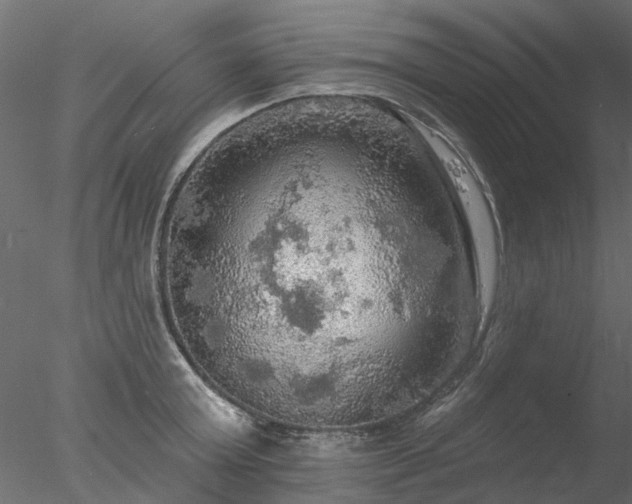 X0000078010803200611031429