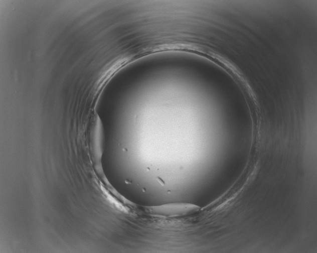 X0000078010809200611031429