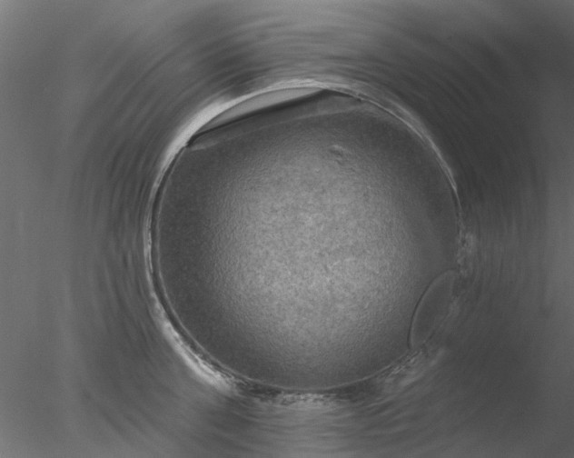 X0000078010811200611031428