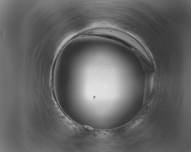 X0000078010815200611031428