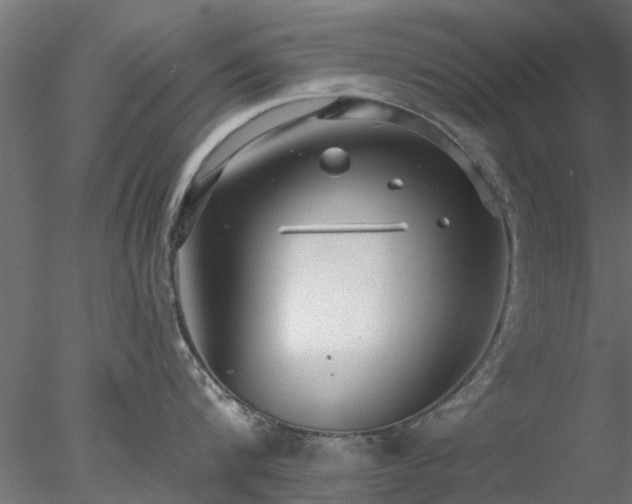 X0000078010816200611031428