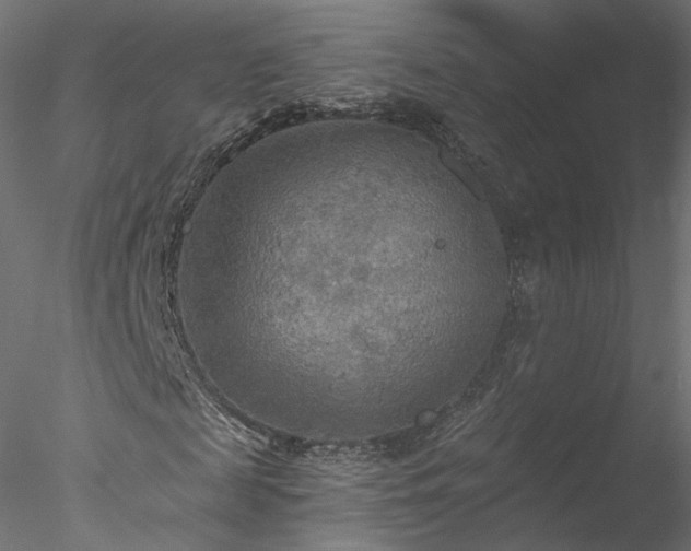 X0000078010817200611031428