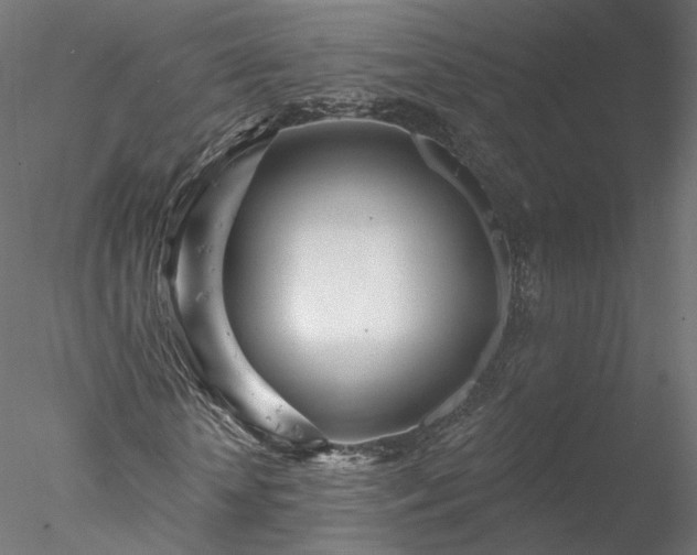 X0000078010818200611031428