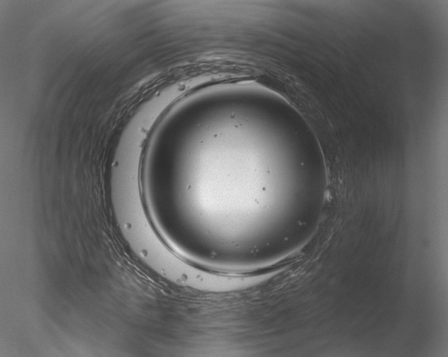 X0000078010821200611031428