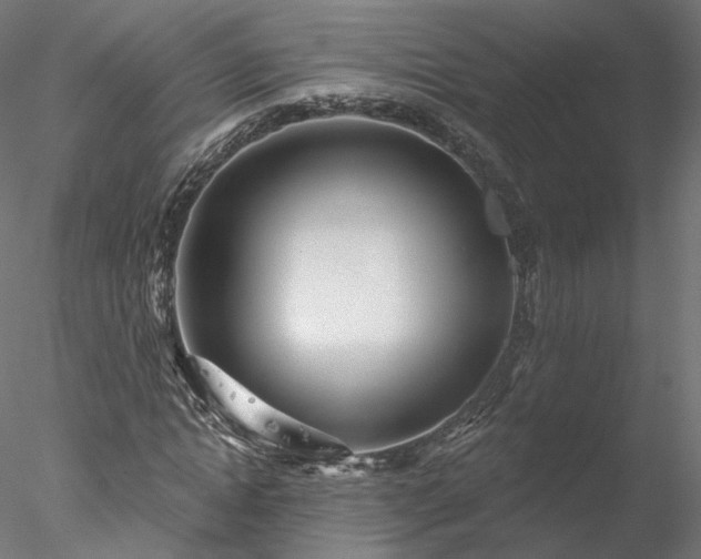 X0000078010822200611031428