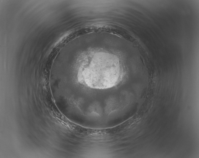 X0000078010823200611031428