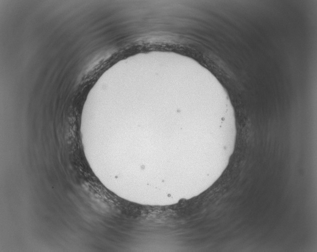 X0000078010824200611031428