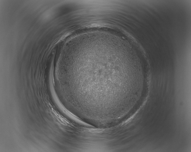 X0000078010825200611031428