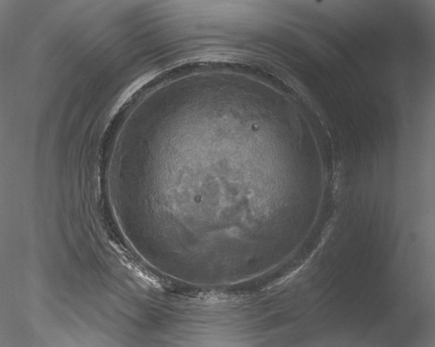 X0000078010829200611031428