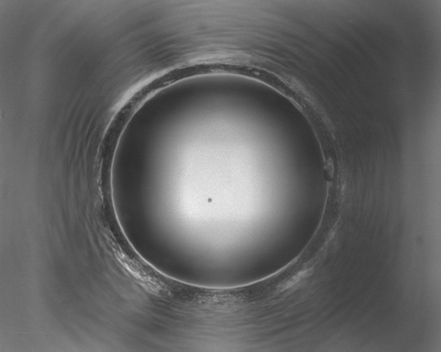 X0000078010830200611031428