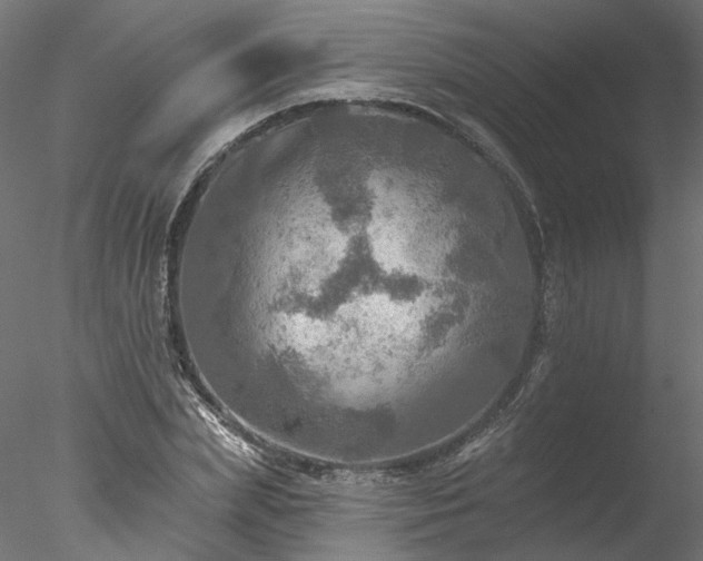 X0000078010831200611031428