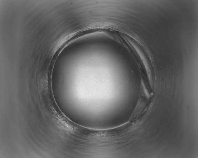 X0000078010834200611031428