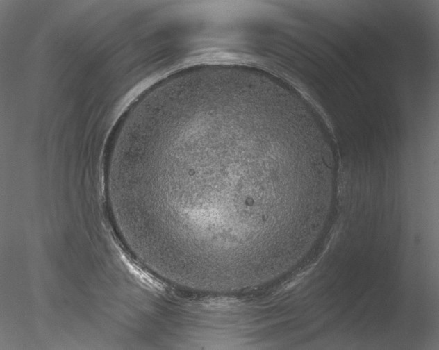 X0000078010837200611031428