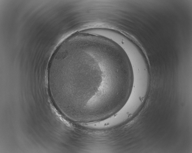 X0000078010839200611031428