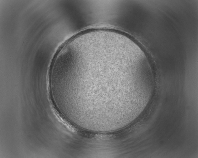 X0000078010840200611031428