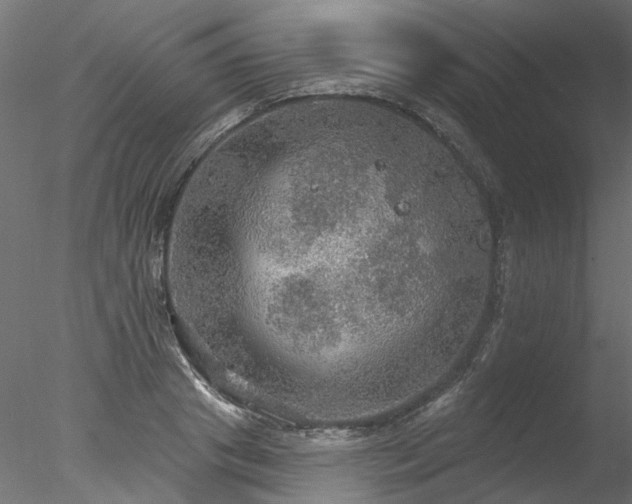 X0000078010841200611031428