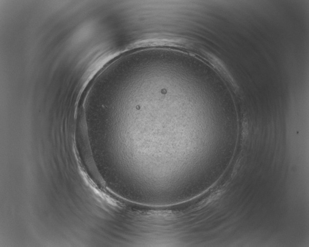 X0000078010844200611031428