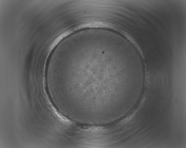 X0000078010845200611031428