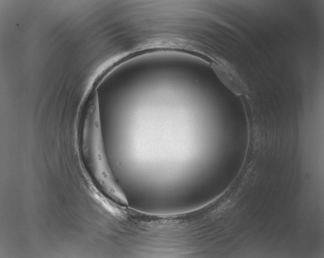 X0000078010846200611031428