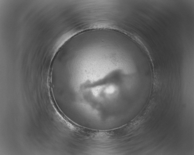 X0000078010847200611031428