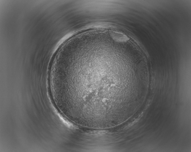 X0000078010853200611031428