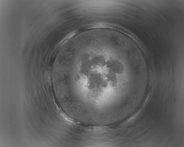 X0000078010857200611031428