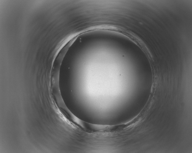 X0000078010860200611031428