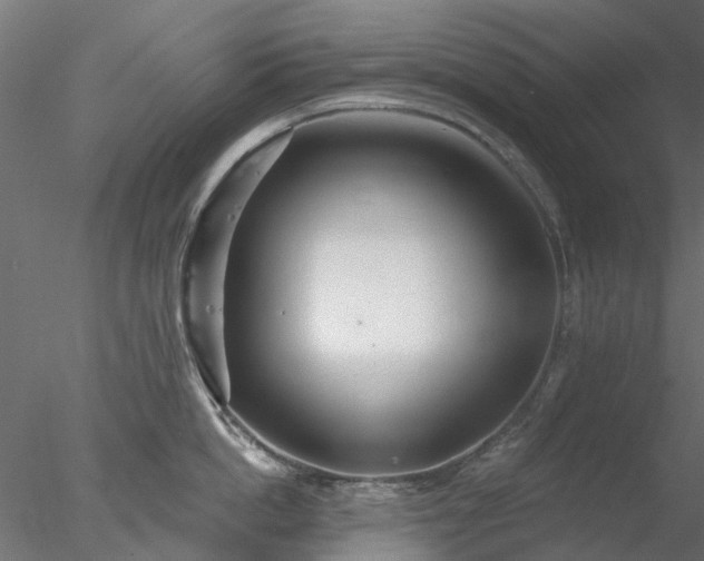 X0000078010862200611031428