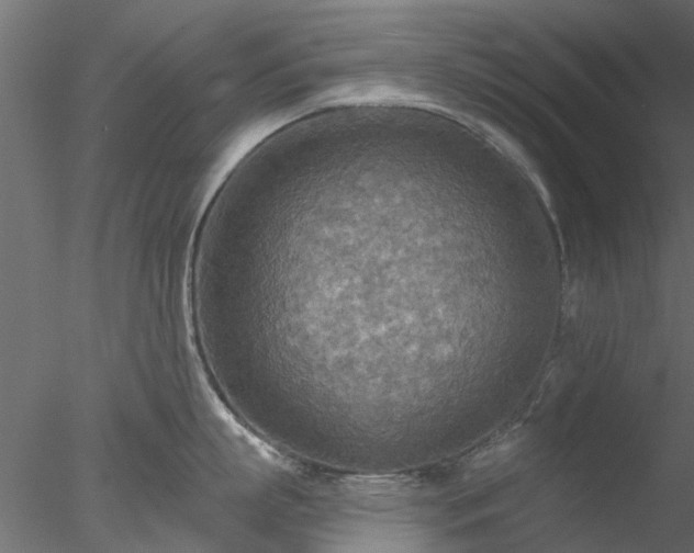 X0000078010863200611031428