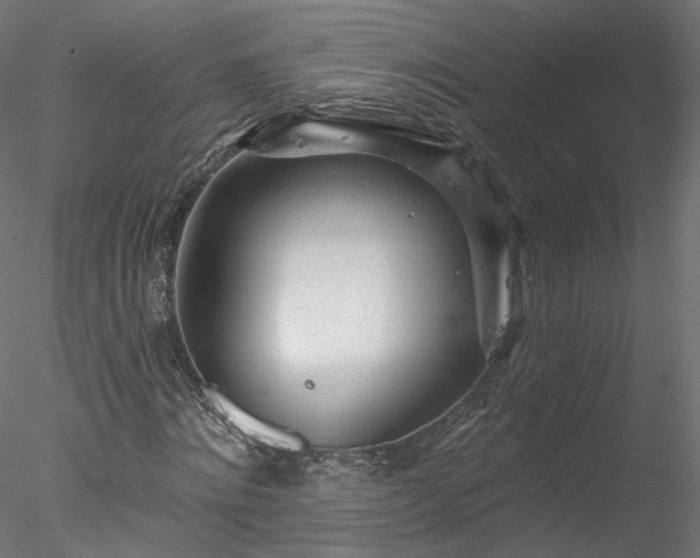 X0000078010868200611031428