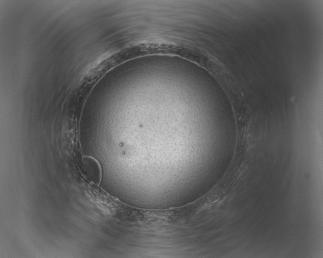 X0000078010870200611031427