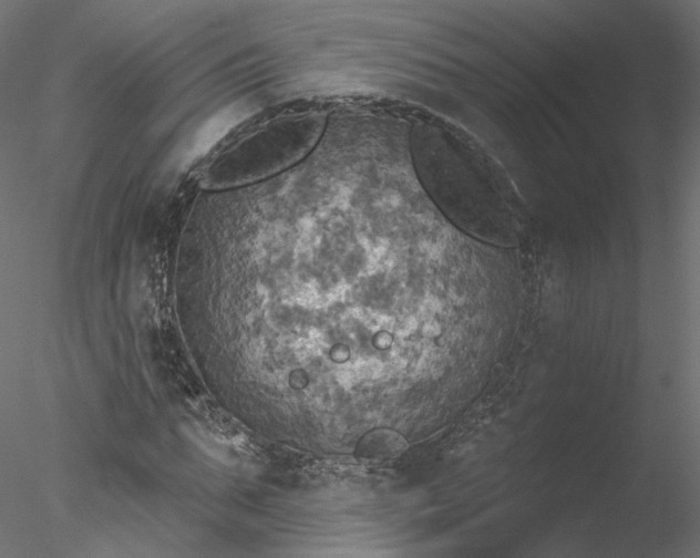 X0000078010871200611031427