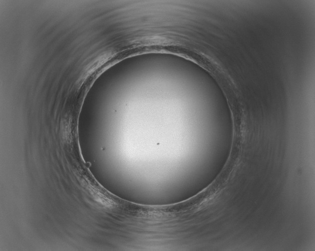 X0000078010873200611031427