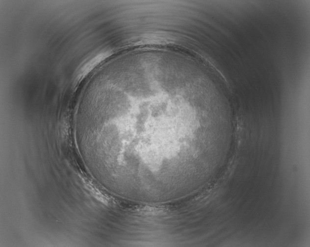 X0000078010874200611031427