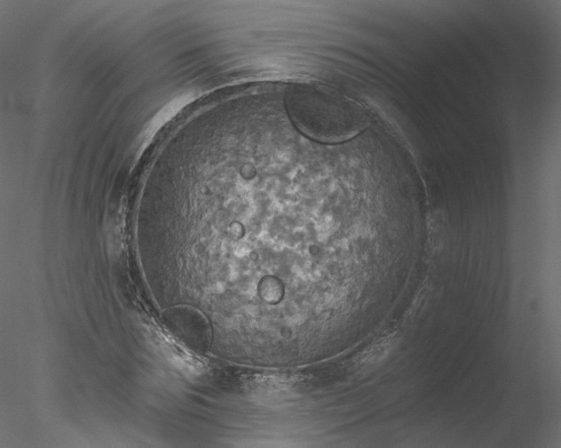 X0000078010875200611031427