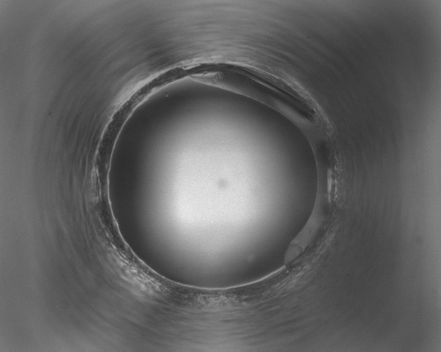 X0000078010876200611031427