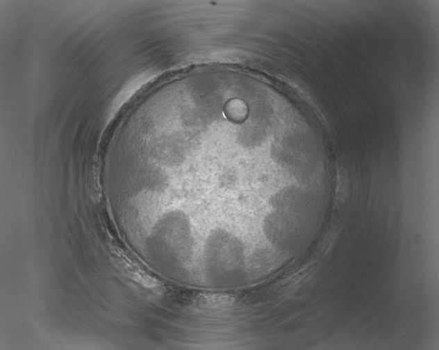 X0000078010878200611031427