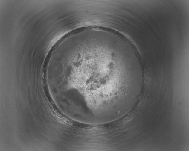 X0000078010879200611031427