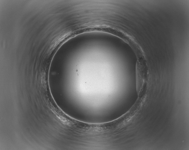 X0000078010881200611031427