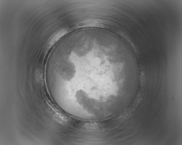 X0000078010882200611031427