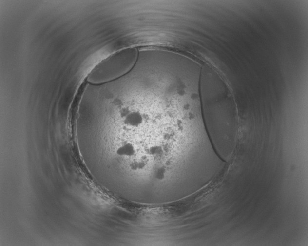 X0000078010883200611031427