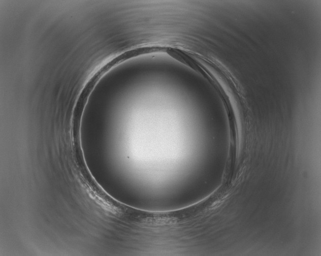 X0000078010884200611031427