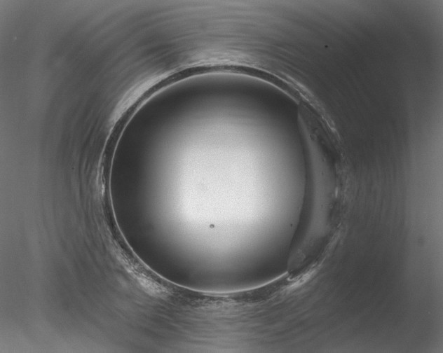 X0000078010885200611031427