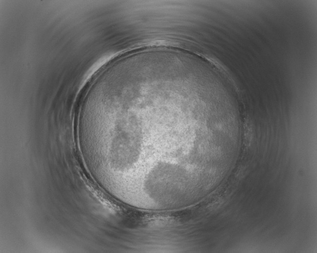 X0000078010886200611031427