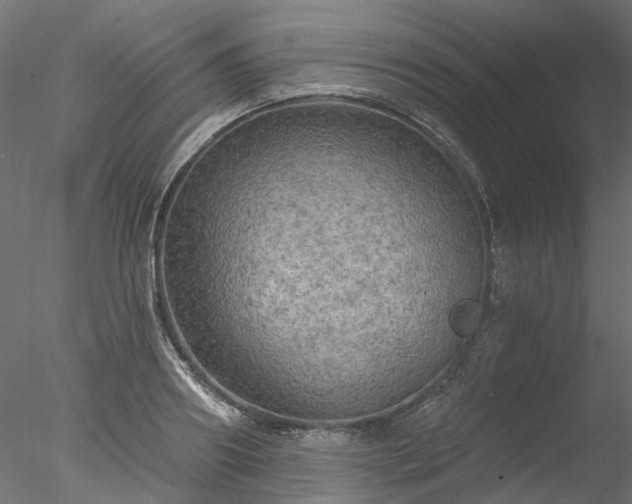 X0000078010890200611031427