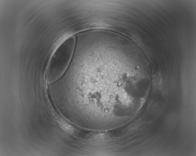 X0000078010891200611031427