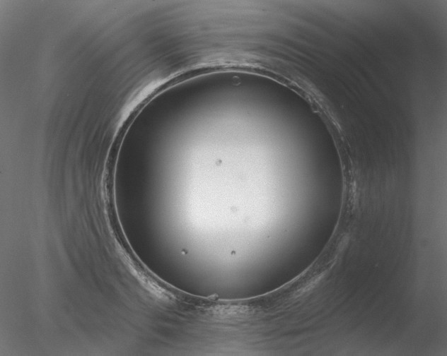 X0000078010893200611031427